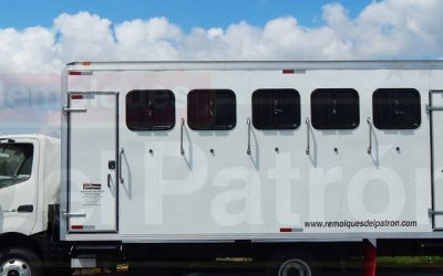 camion_5_caballos-_hino-900x400 camion_5_caballos-_hino-900x400